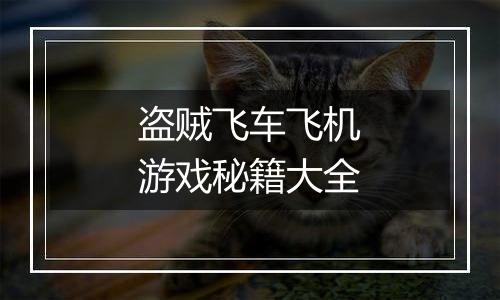 盗贼飞车飞机游戏秘籍大全