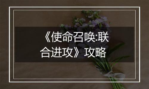 《使命召唤:联合进攻》攻略