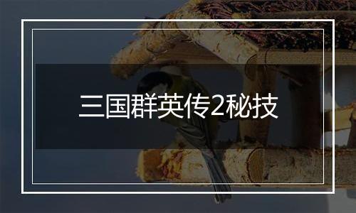 三国群英传2秘技