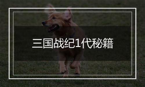 三国战纪1代秘籍