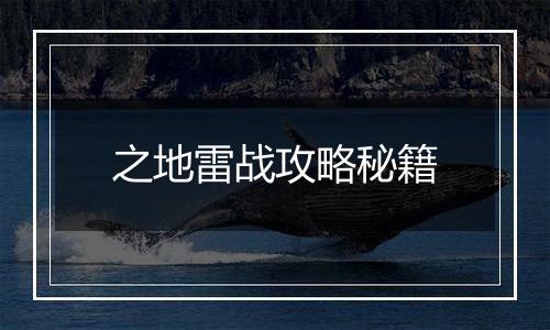 之地雷战攻略秘籍