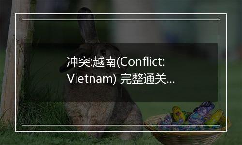 冲突:越南(Conflict:Vietnam) 完整通关攻略
