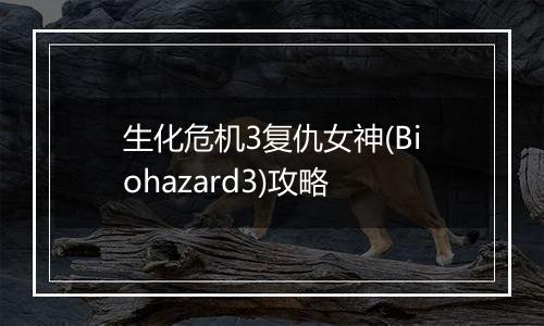 生化危机3复仇女神(Biohazard3)攻略
