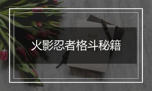 火影忍者格斗秘籍