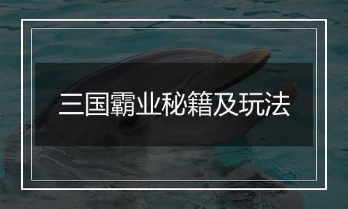 三国霸业秘籍及玩法