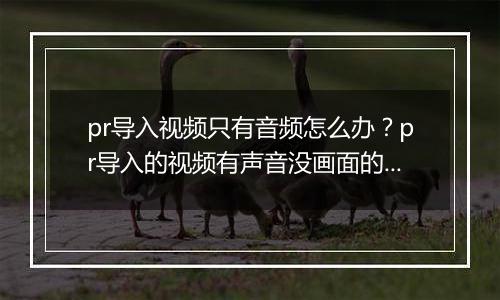 pr导入视频只有音频怎么办？pr导入的视频有声音没画面的解决方法