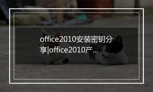 office2010安装密钥分享|office2010产品激活密钥