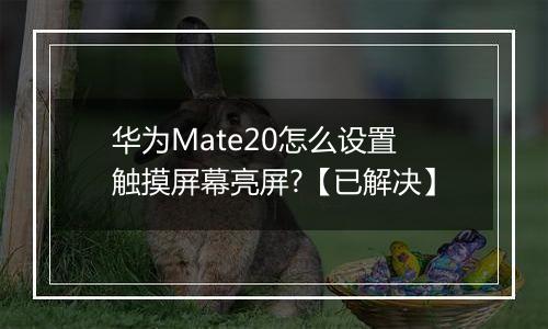 华为Mate20怎么设置触摸屏幕亮屏?【已解决】