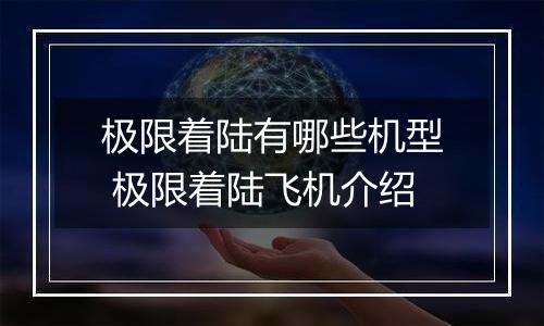 极限着陆有哪些机型 极限着陆飞机介绍