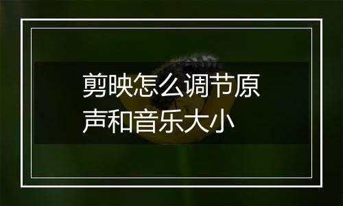 剪映怎么调节原声和音乐大小