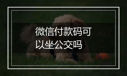 微信付款码可以坐公交吗