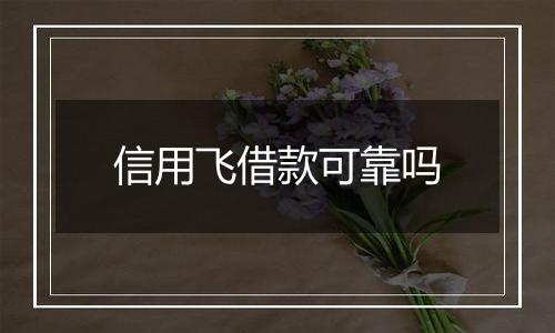 信用飞借款可靠吗