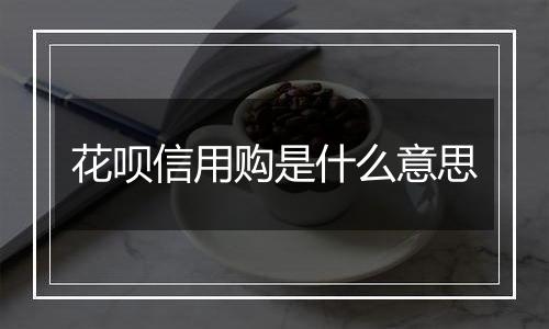 花呗信用购是什么意思