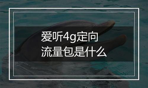 爱听4g定向流量包是什么