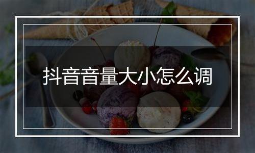 抖音音量大小怎么调