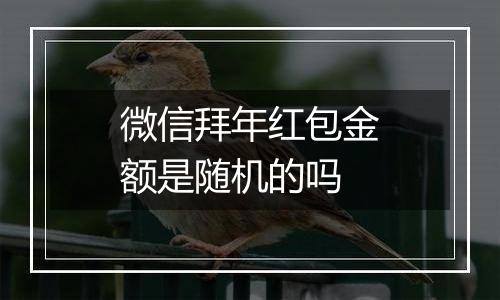 微信拜年红包金额是随机的吗