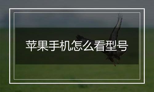 苹果手机怎么看型号