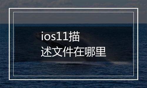 ios11描述文件在哪里