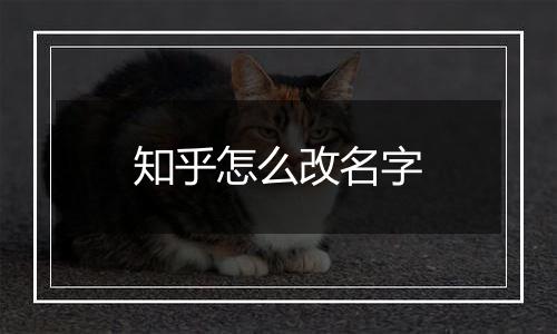 知乎怎么改名字