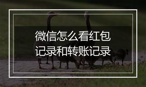 微信怎么看红包记录和转账记录