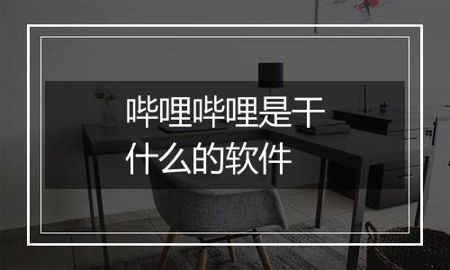 哔哩哔哩是干什么的软件