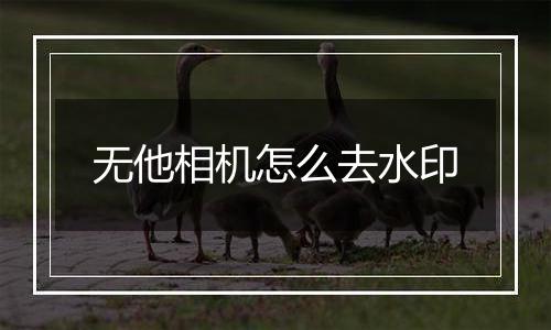 无他相机怎么去水印