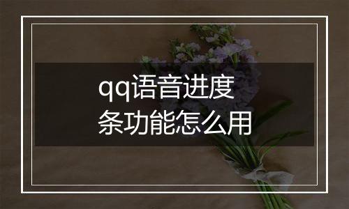 qq语音进度条功能怎么用