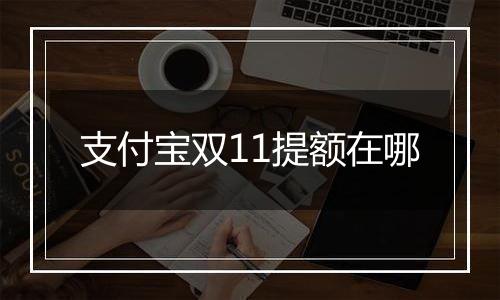 支付宝双11提额在哪