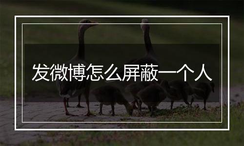 发微博怎么屏蔽一个人