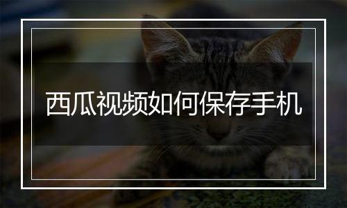 西瓜视频如何保存手机