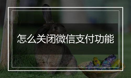 怎么关闭微信支付功能