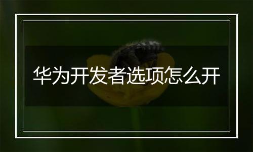 华为开发者选项怎么开