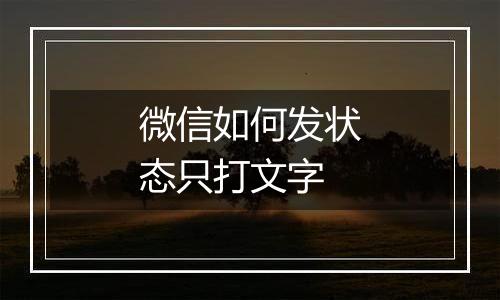 微信如何发状态只打文字