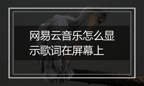 网易云音乐怎么显示歌词在屏幕上