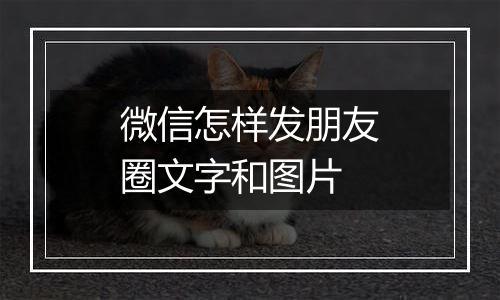 微信怎样发朋友圈文字和图片