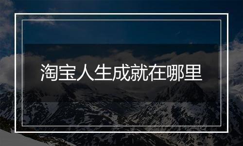 淘宝人生成就在哪里