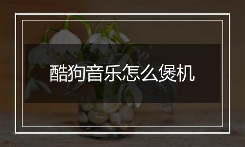 酷狗音乐怎么煲机