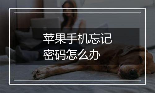 苹果手机忘记密码怎么办