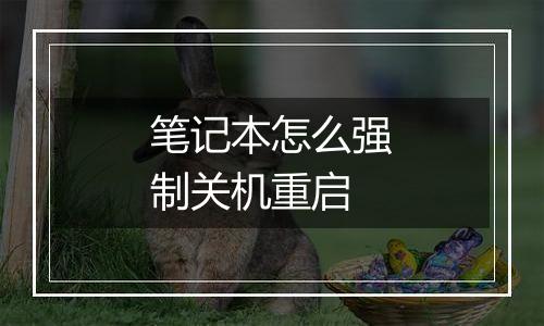 笔记本怎么强制关机重启