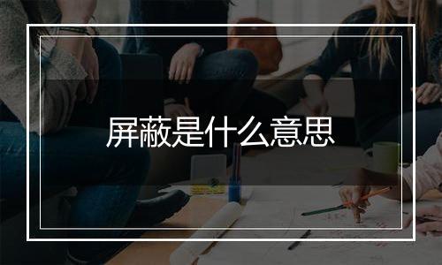 屏蔽是什么意思