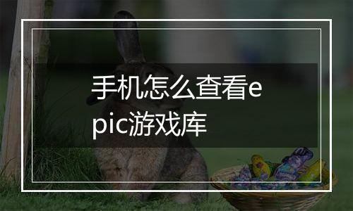 手机怎么查看epic游戏库