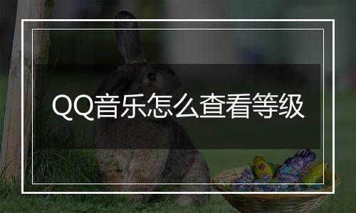 QQ音乐怎么查看等级