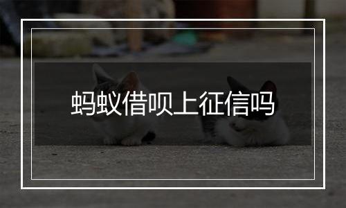 蚂蚁借呗上征信吗