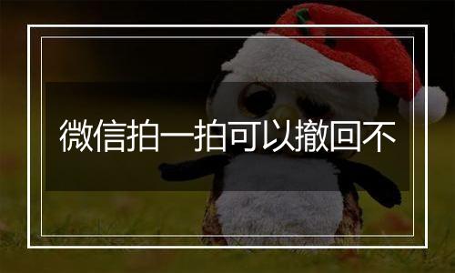 微信拍一拍可以撤回不