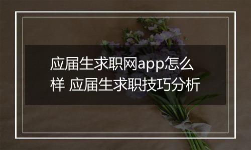 应届生求职网app怎么样 应届生求职技巧分析