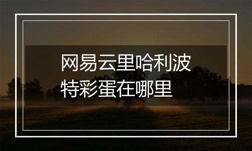 网易云里哈利波特彩蛋在哪里