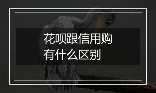 花呗跟信用购有什么区别
