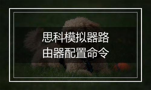 思科模拟器路由器配置命令