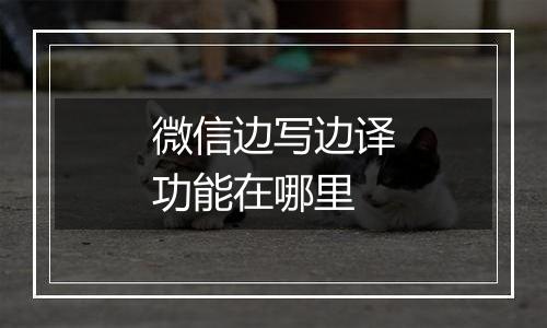 微信边写边译功能在哪里