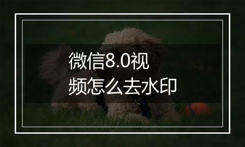 微信8.0视频怎么去水印